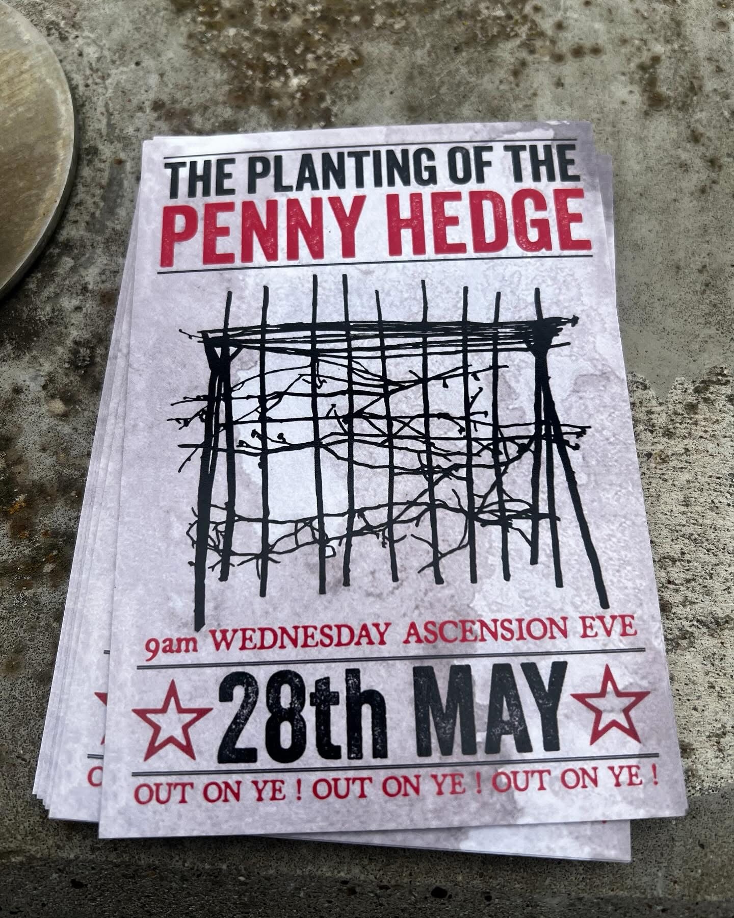 🌿 A Hedge, a Song and a Celebration of Whitby: Penny Hedge 2025